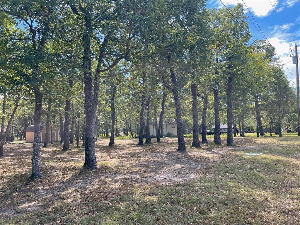 Streetman, TX 75859,Lot 15 Susan Grove Boulevard