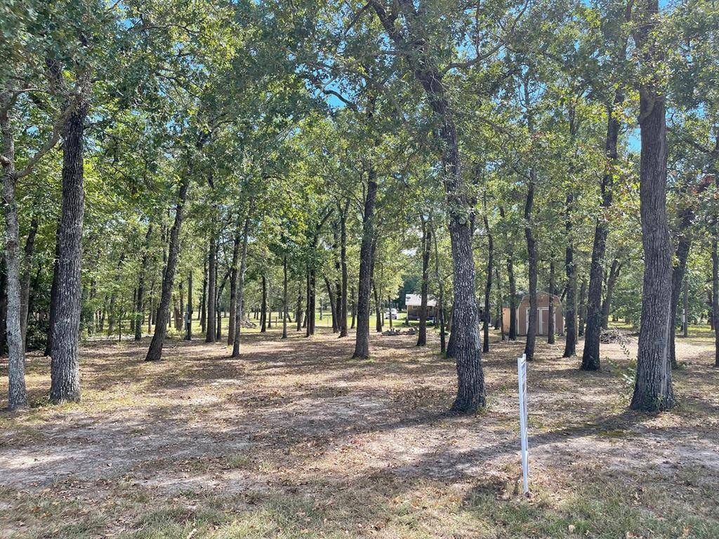 Streetman, TX 75859,Lot 15 Susan Grove Boulevard