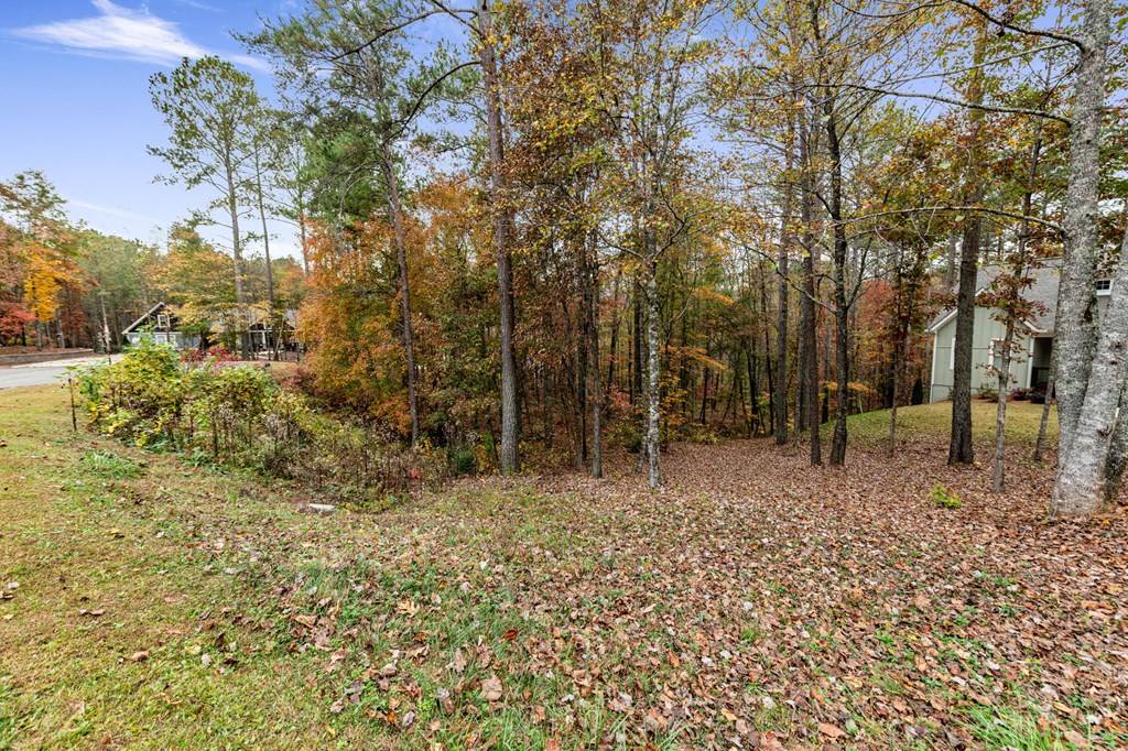 Ellijay, GA 30540,LOT 67 Bridge Road