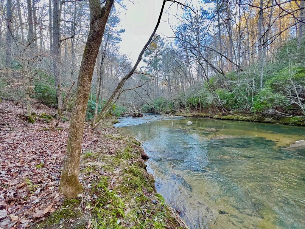 Talking Rock, GA 30175,Lot 53 Mountain Creek Hollow Drive