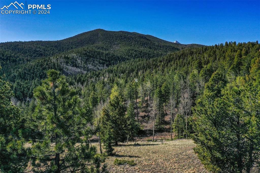 Divide, CO 80814,1100 Elk Ridge South