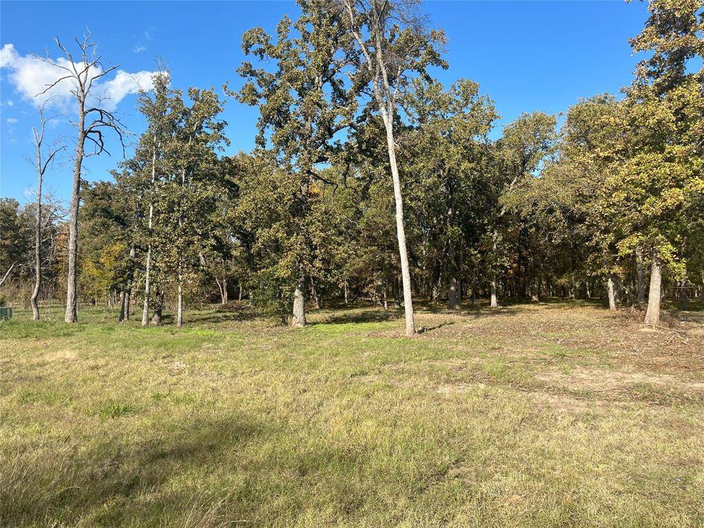 Quinlan, TX 75474,Lot 81 Open Water Point