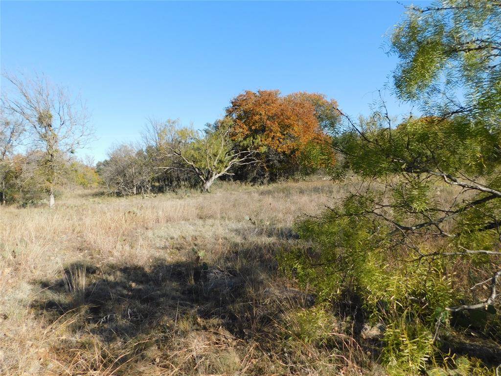 Brownwood, TX 76801,Lot 238 Feather Bay Drive