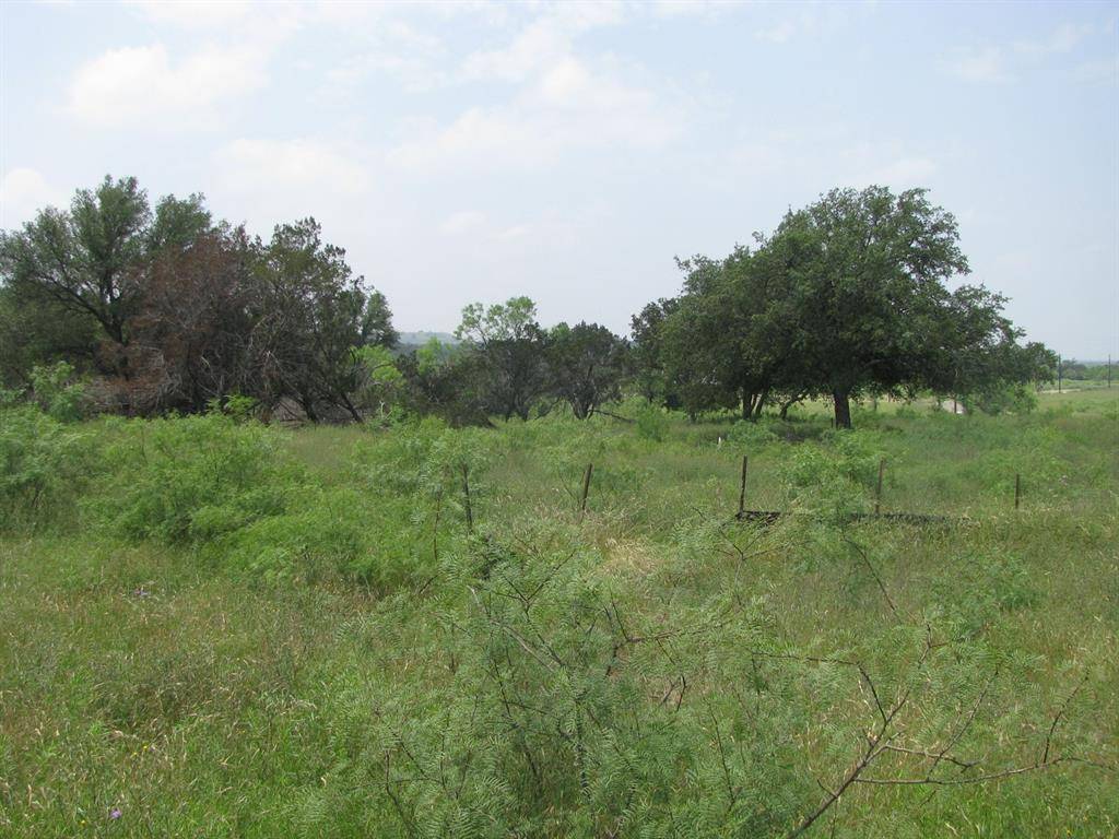 Evant, TX 76525,Lot 53 Buffalo Creek Drive