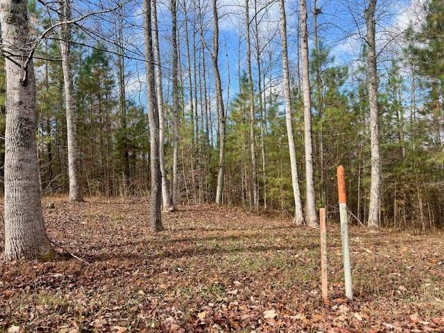 Young Harris, GA 30582,Lot 41 Meadow Brooke Drive