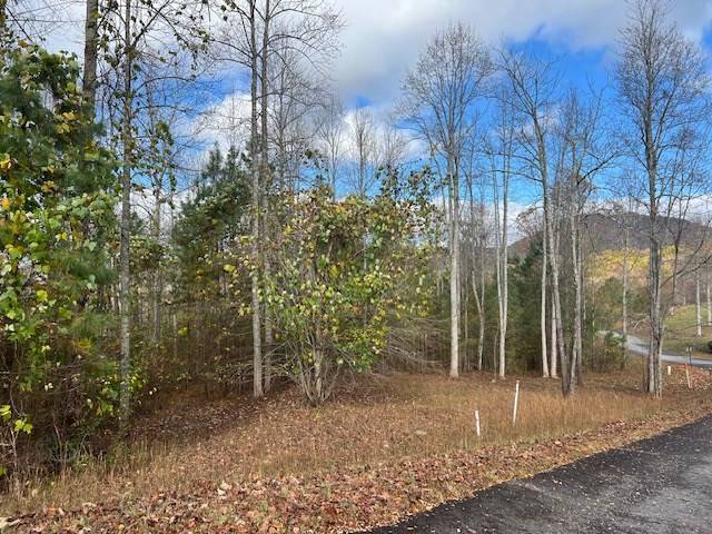 Young Harris, GA 30582,Lot 41 Meadow Brooke Drive