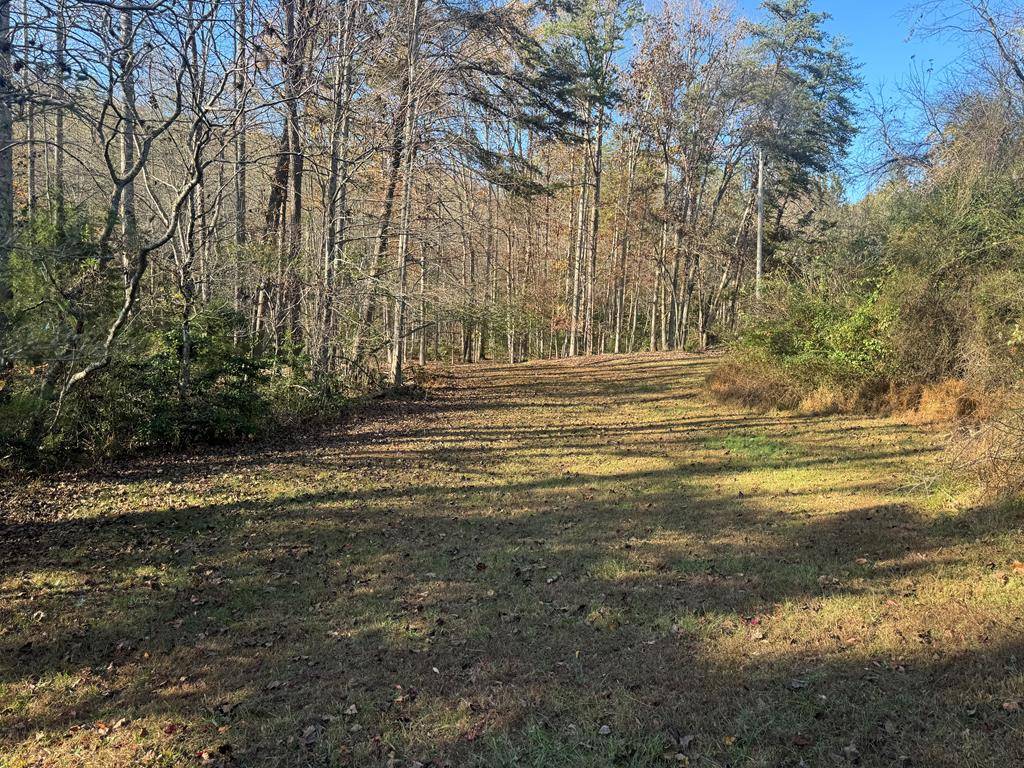 Morganton, GA 30560,0 Mount Carmel Road