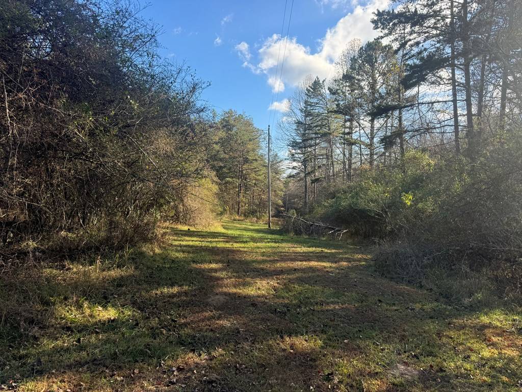 Morganton, GA 30560,0 Mount Carmel Road