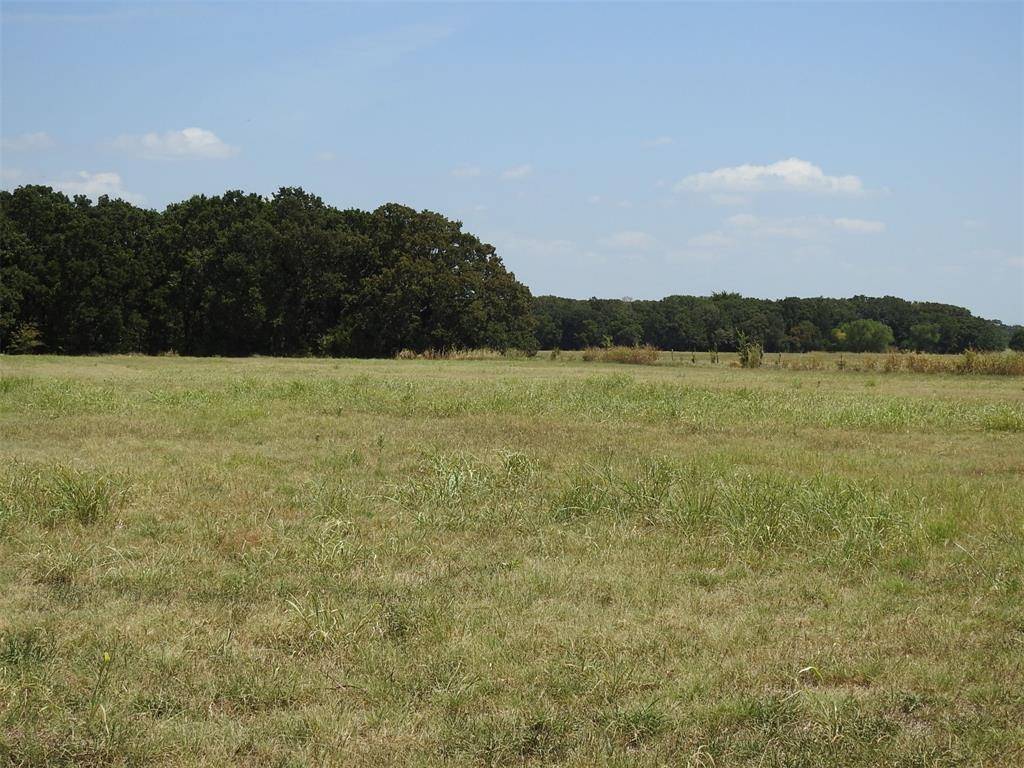 Ivanhoe, TX 75447,TBD County Road 2235