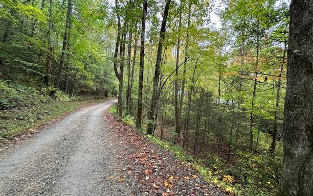 Blairsville, GA 30512,10 Acres Hatchett Creek Road