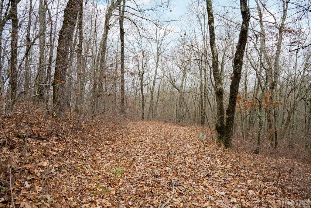 Glenville, NC 28736,Lot 4 Broadview Lane