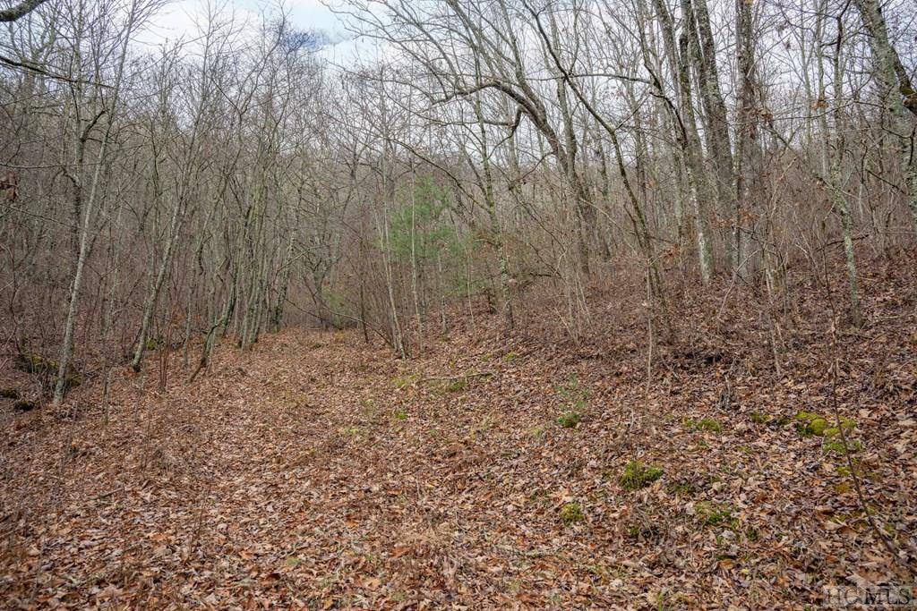 Glenville, NC 28736,Lot 4 Broadview Lane