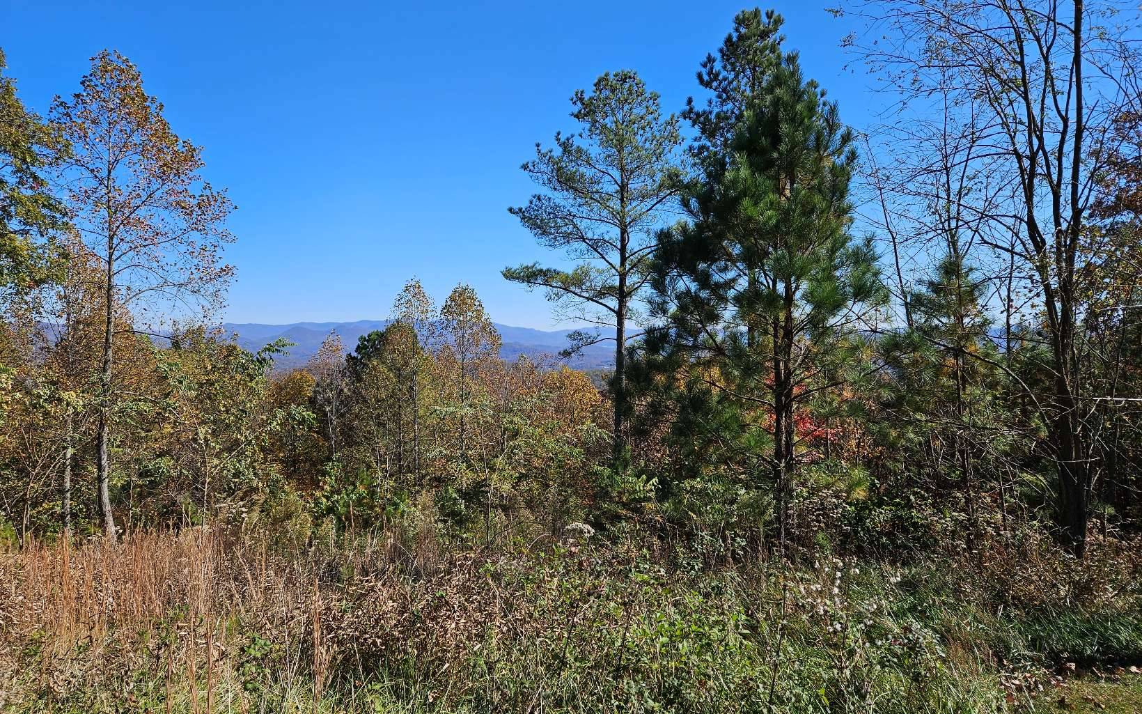 Blairsville, GA 30512,lot 27 Mile High Drive