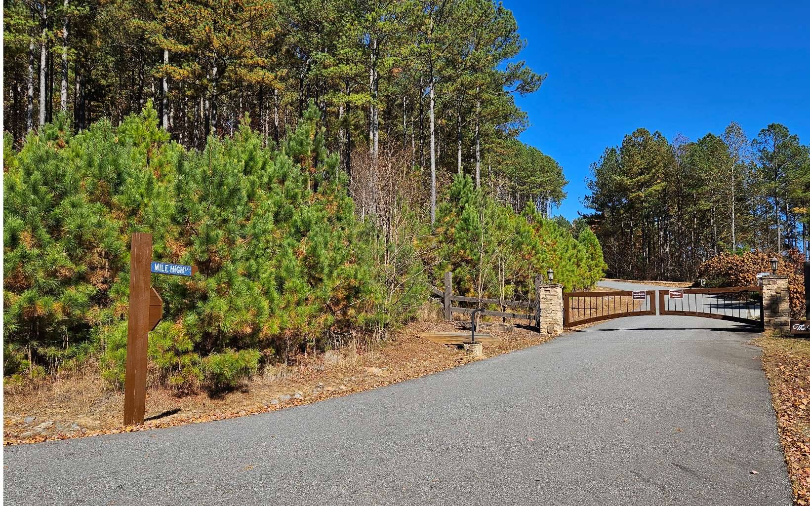 Blairsville, GA 30512,lot 27 Mile High Drive