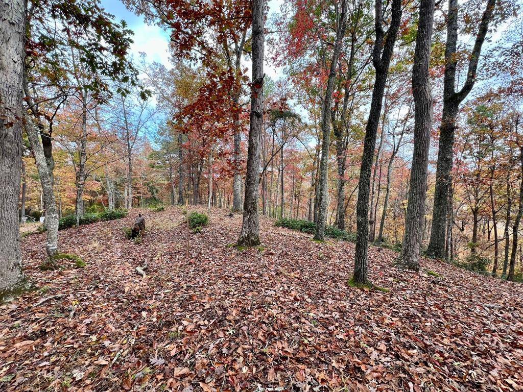 Brasstown, NC 28902,Lot 16 Cricket Lane