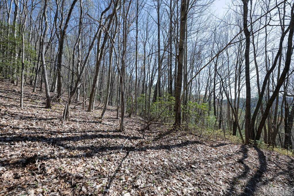 Cashiers, NC 28717,Lot 8 Meadow Crest Drive