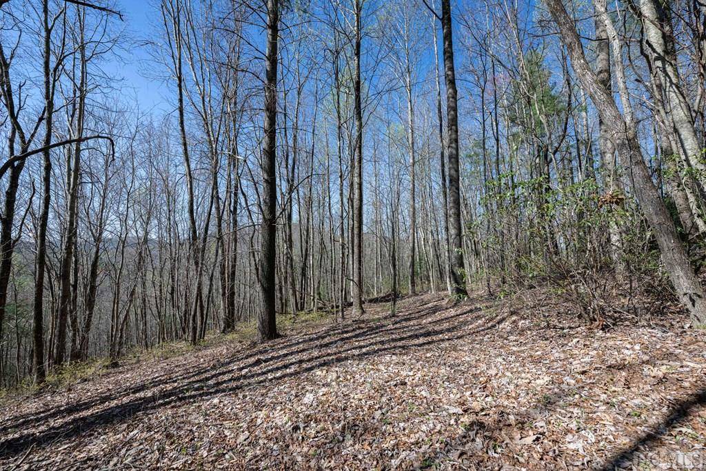 Cashiers, NC 28717,Lot 8 Meadow Crest Drive