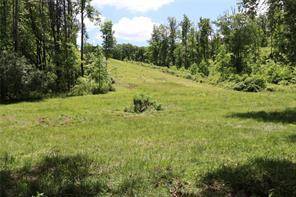 Ellijay, GA 30540,0 Parksbrook Road