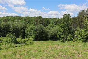 Ellijay, GA 30540,0 Parksbrook Road