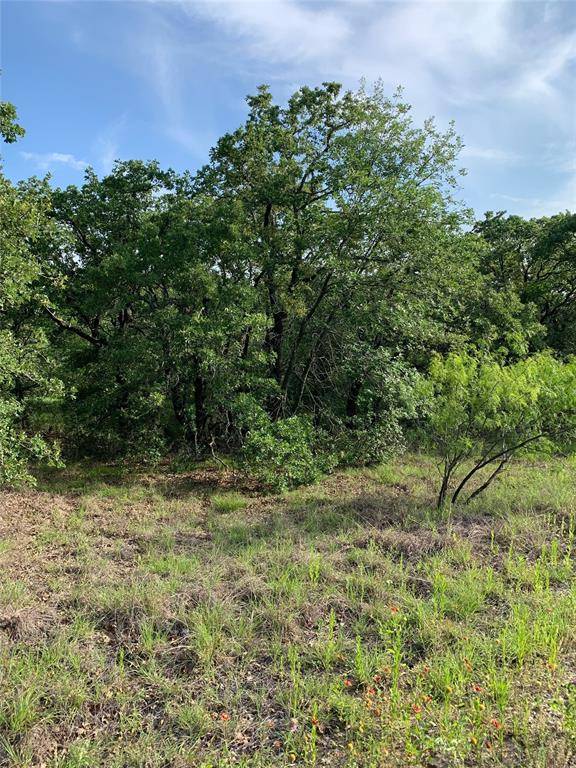 Runaway Bay, TX 76426,Lot 50 Jim Walters Drive