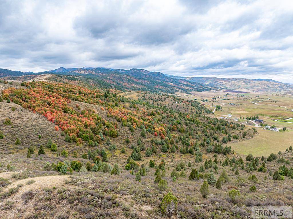 Lava Hot Springs, ID 83246,TBD S Pheasant Drive