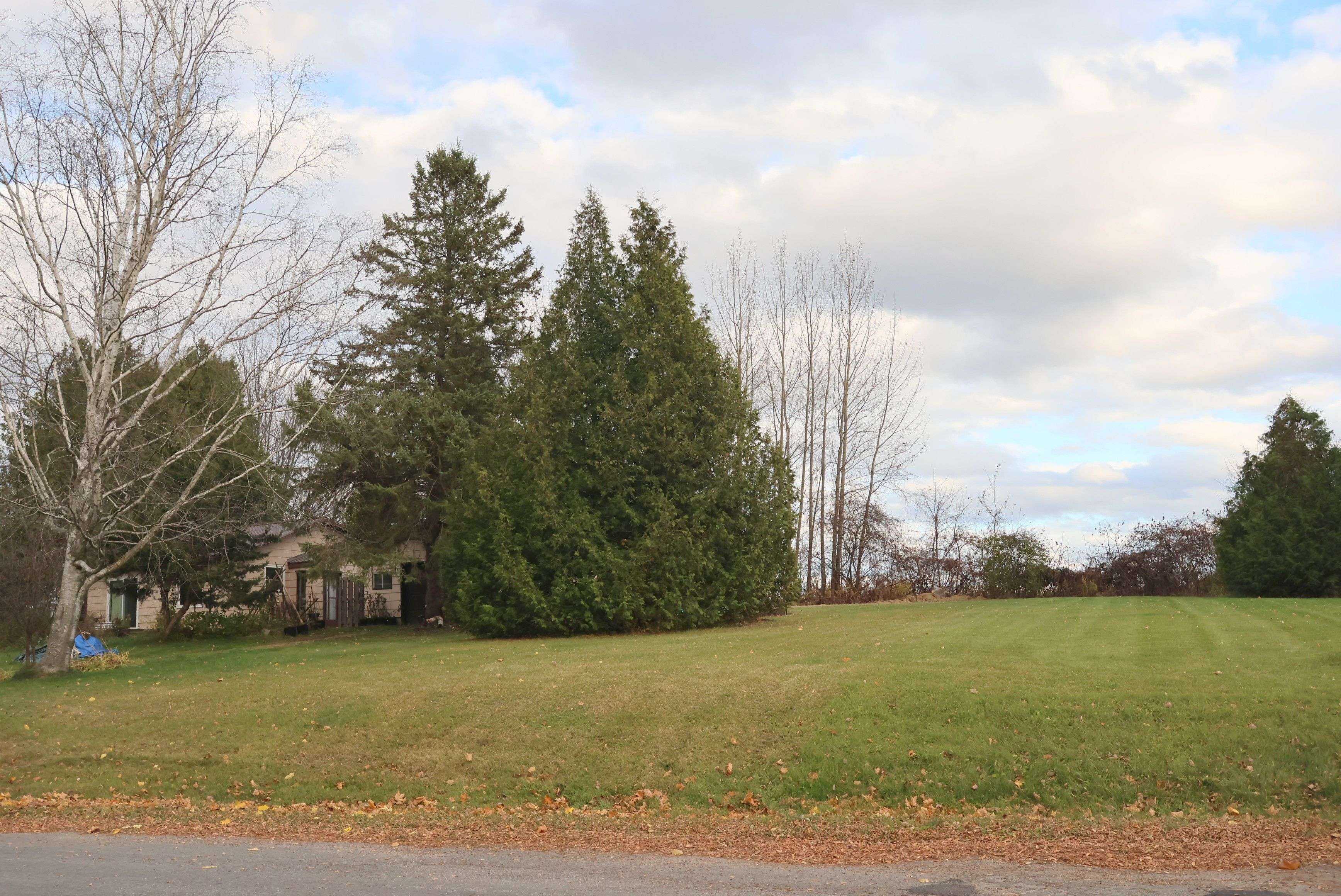 Kawartha Lakes, ON K0L 2W0,42 Cedarview DR