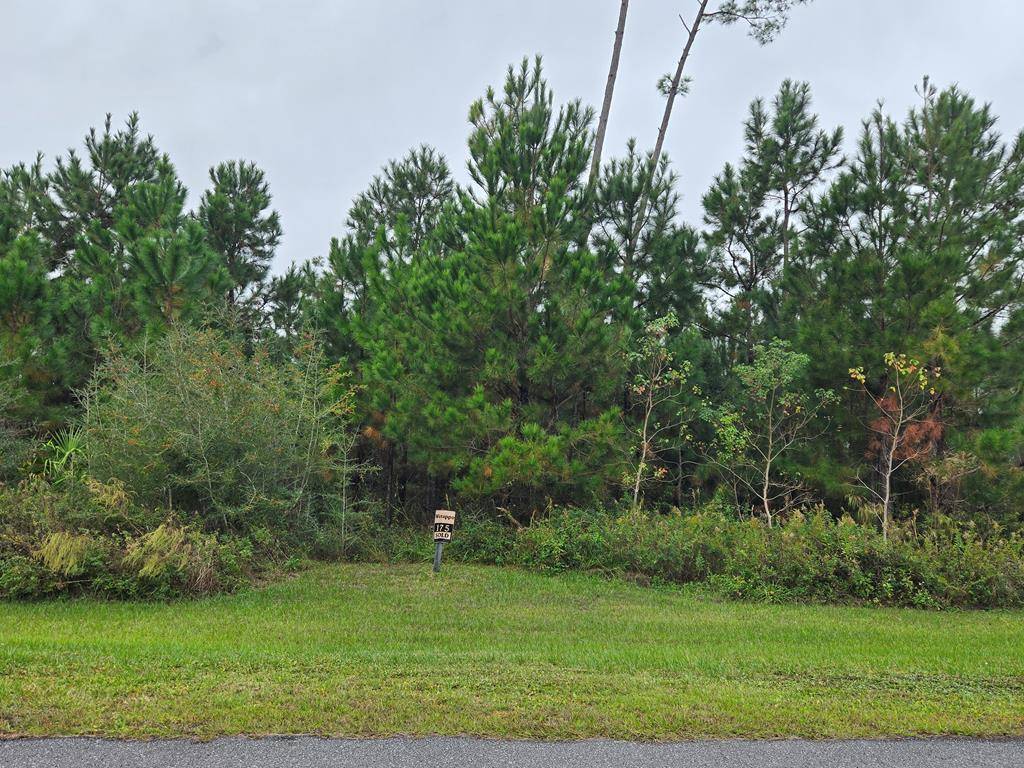 Wewahitchka, FL 32465,Lot 175 Wide Water Cir