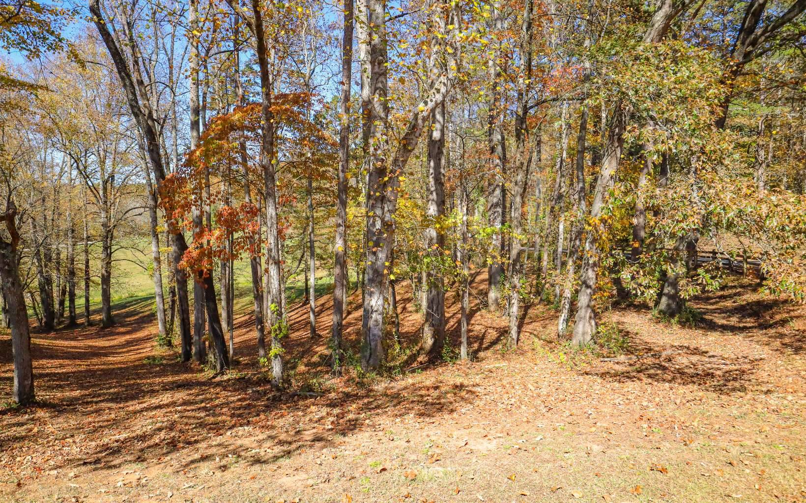 Hayesville, NC 28904,Lot 5 Hinton Overlook