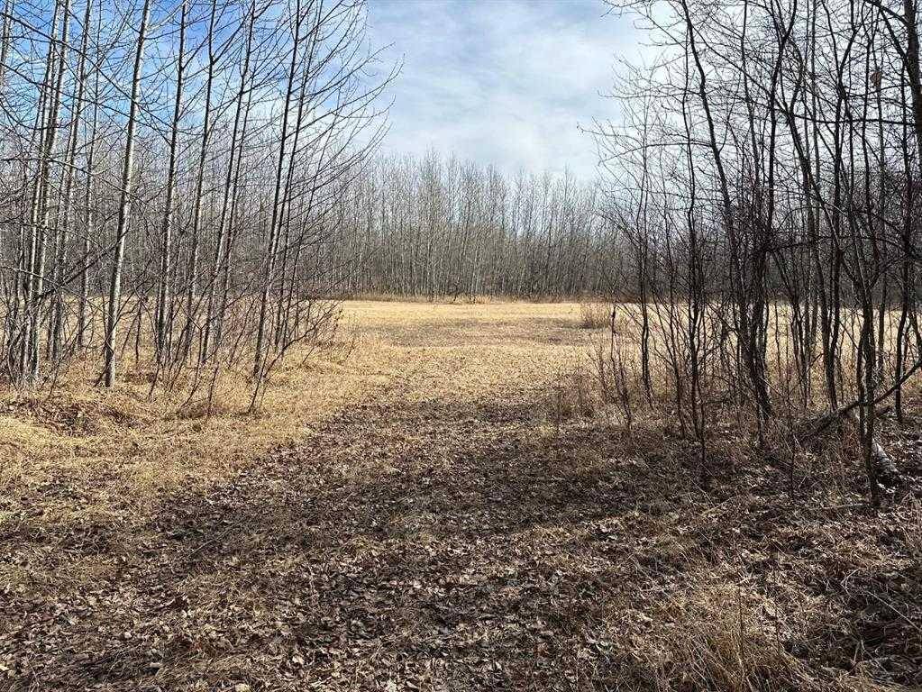 Athabasca, AB T9S2A2,64 Tawatinaw DR