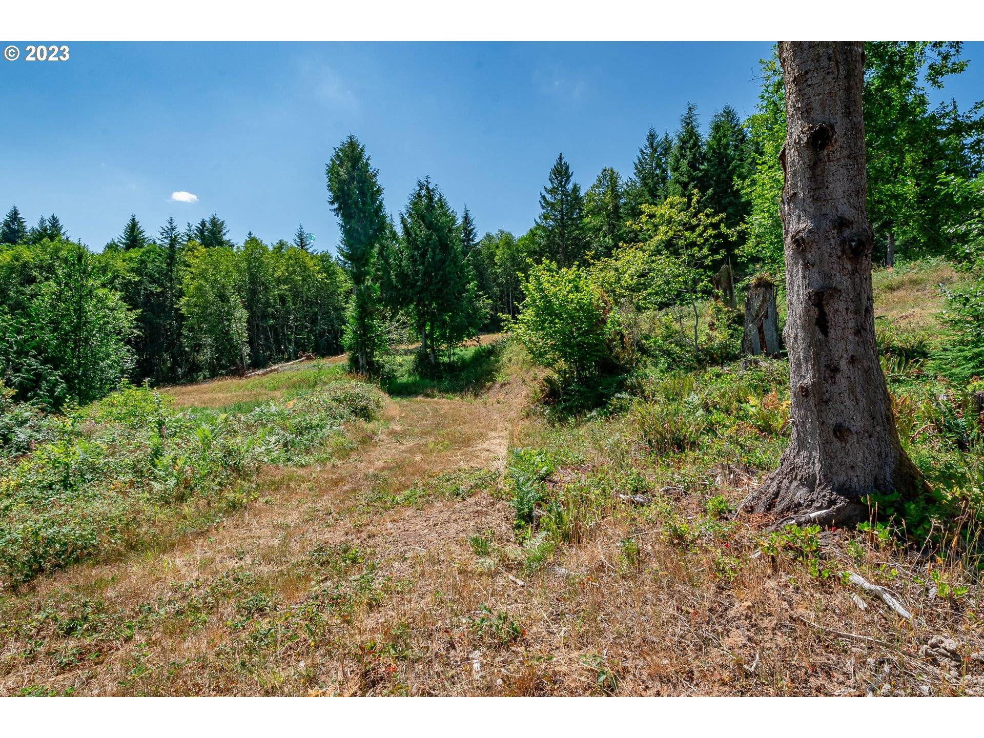 Castle Rock, WA 98611,120 Red Hawk #2