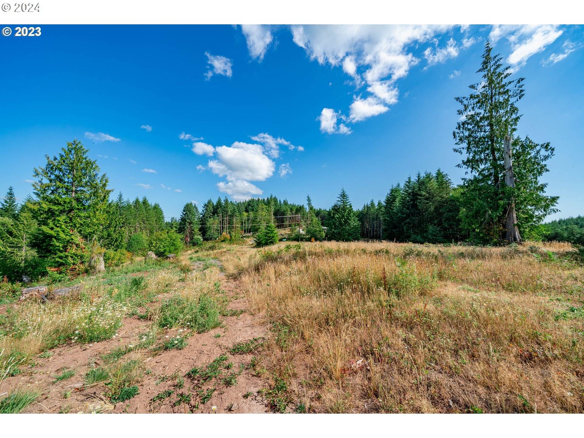 Castle Rock, WA 98611,0 S Silver Lake #8