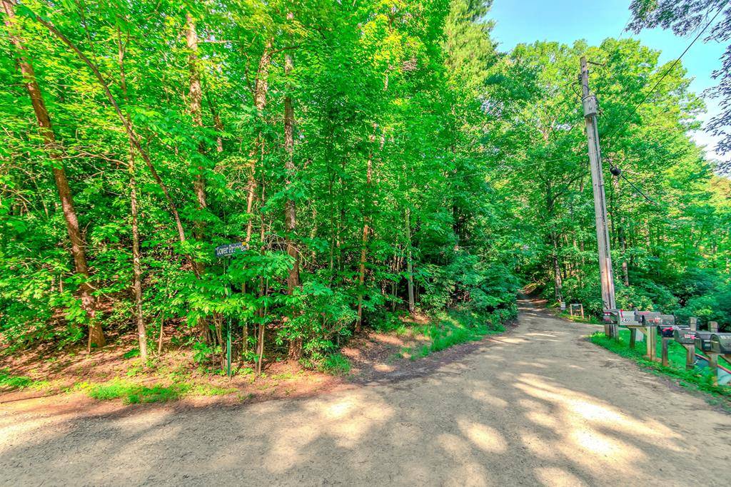 Blue Ridge, GA 30513,Lot 10 Cashes Valley Lane