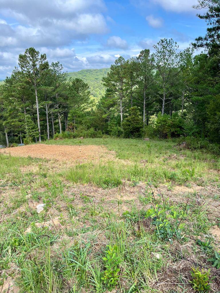 Blairsville, GA 30512,Lot 18 Pinehurst