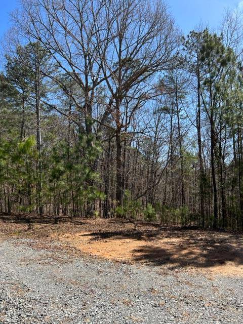 Ellijay, GA 30540,LOT 2 Hunter Ridge