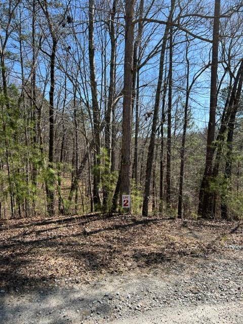 Ellijay, GA 30540,LOT 2 Hunter Ridge