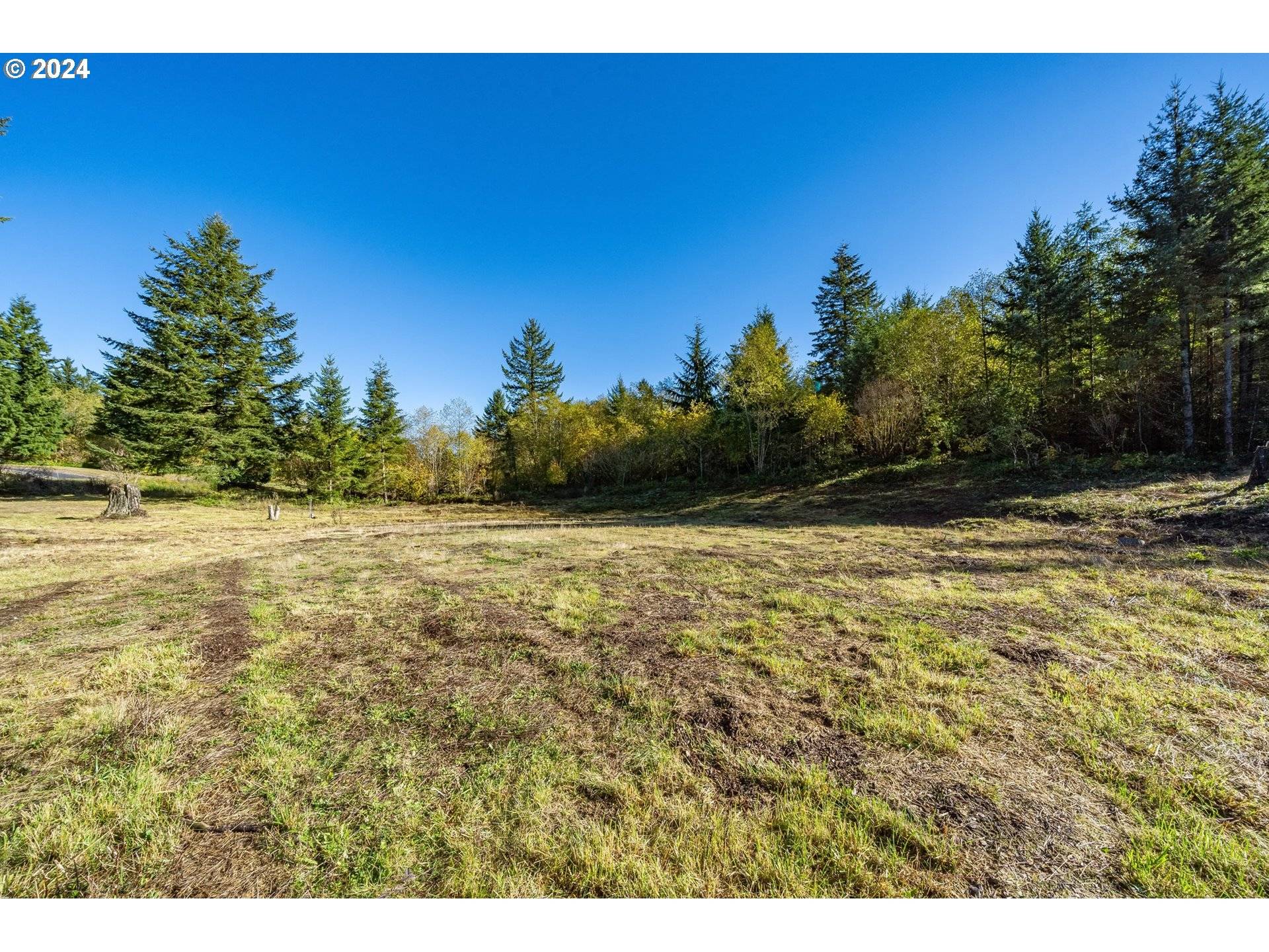 Camas, WA 98607,NE Livingston Mountain CIR