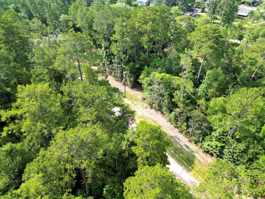 Woodville, TX 75979,Lot 8 Sir Ewaine Drive