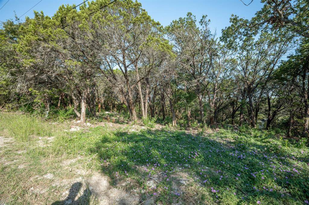 Granbury, TX 76048,518 Crestwood Drive