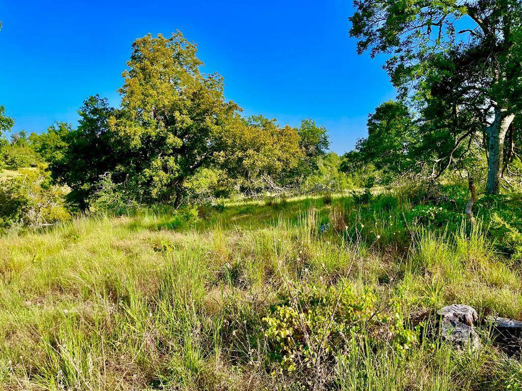 Fredericksburg, TX 78624,Lot 77 -- Canyons Dr