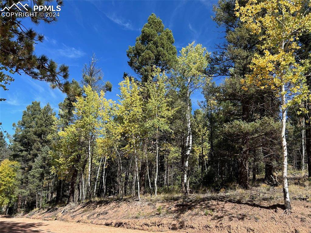 Florissant, CO 80816,643 Pinewood RD