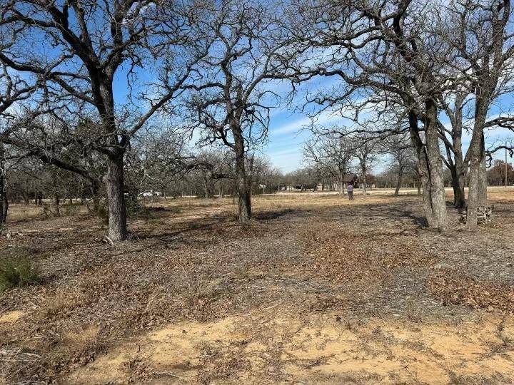 Glen Rose, TX 76043,TBD CR 2030 Lot 9