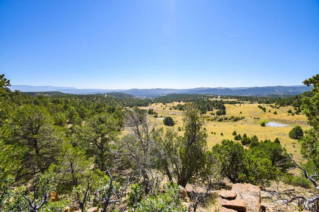 Trinidad, CO 81082,TBD CO Hwy 12