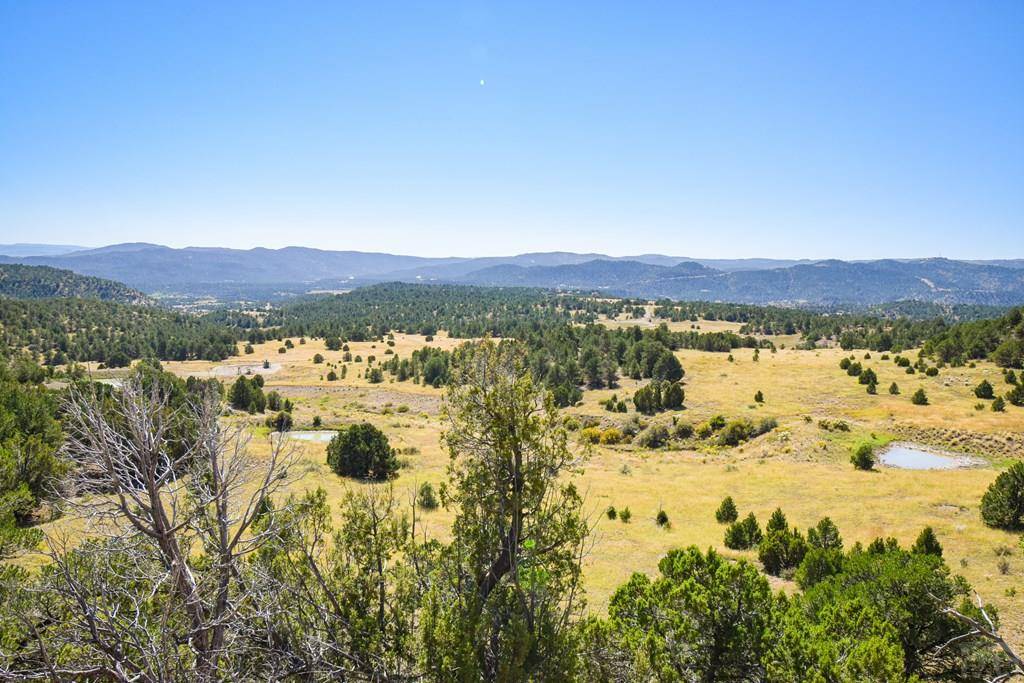 Trinidad, CO 81082,TBD CO Hwy 12