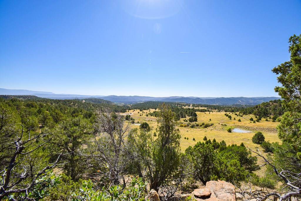 Trinidad, CO 81082,TBD CO Hwy 12