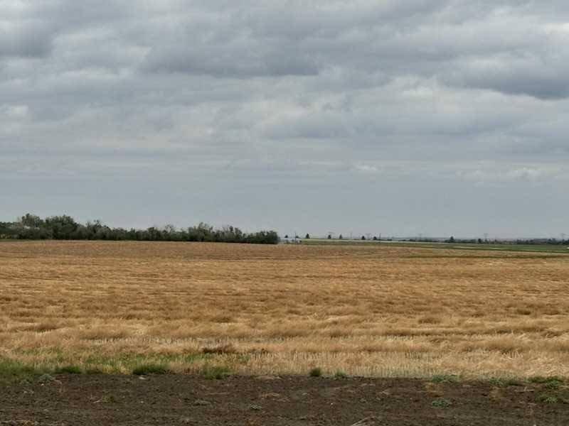 Rural Rocky View County, AB T4A 1J3,Range Road 280