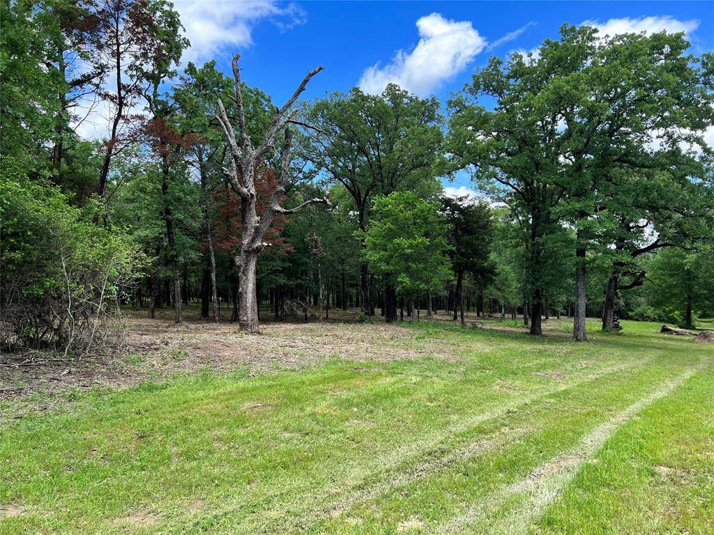 Calvert, TX 77837,0 S Hickory Loop