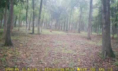 Calvert, TX 77837,0 S Hickory Loop