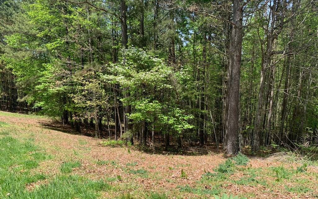 Hayesville, NC 28904,Lot 28 Loftis Mountain