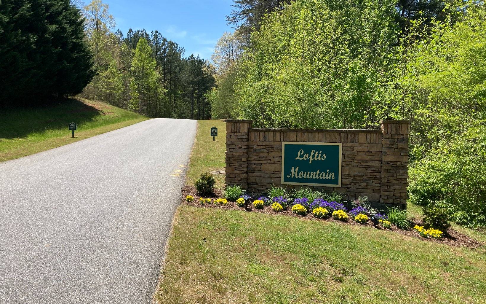 Blairsville, GA 30512,LT 28 Loftis Mountain