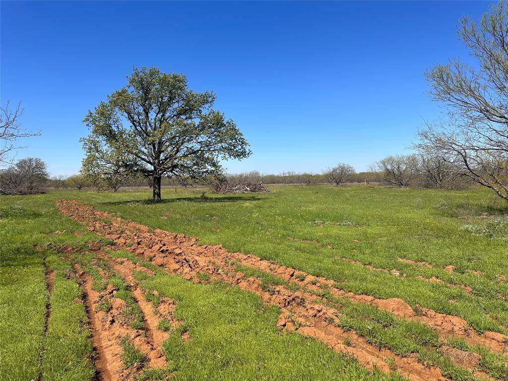 Ranger, TX 76470,13288 County Road 136